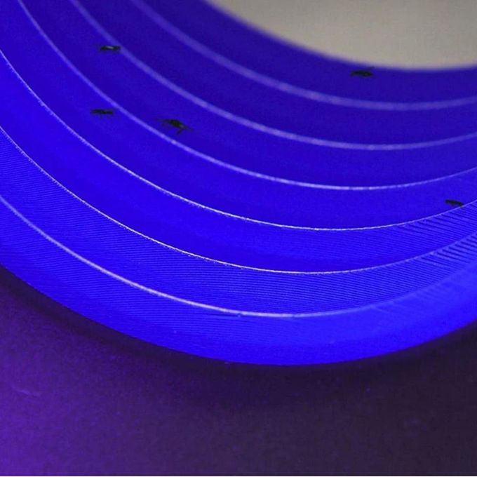 Mosquito Tornado UV Bug Trap