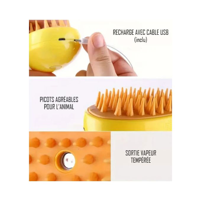 3-in-1 Cat Steam Brush