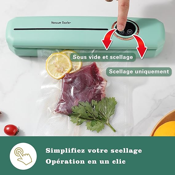 Vacuum Food Sealer