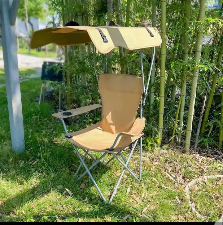Folding Fishing Chair with Canopy