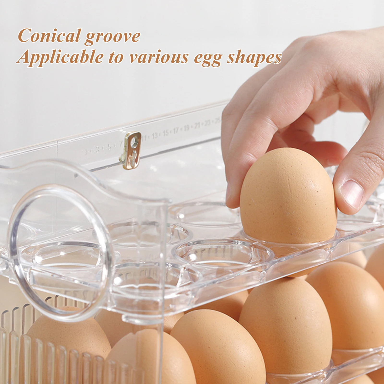 30-Egg Storage Box